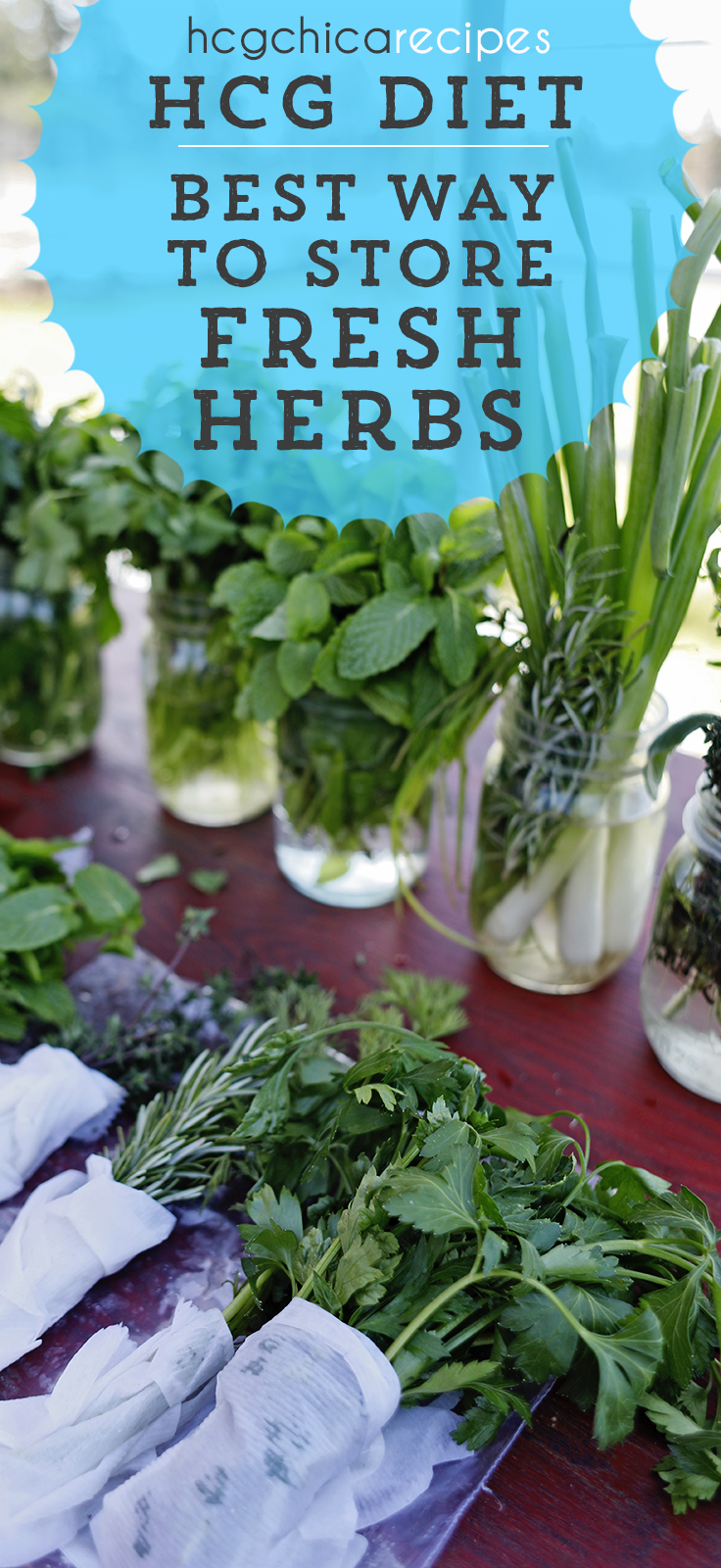 Storing Fresh Herbs on the hCG Diet during Phase 2 - hcgchicarecipes.com