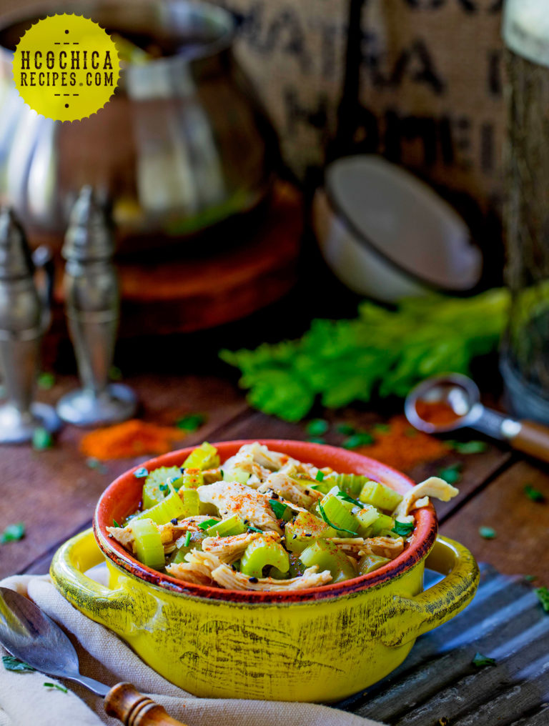 P2 hCG Diet Protein Veggie Recipe Chicken and Pickle Soup LSP + AP